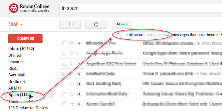Screenshot on how to delete spam messages